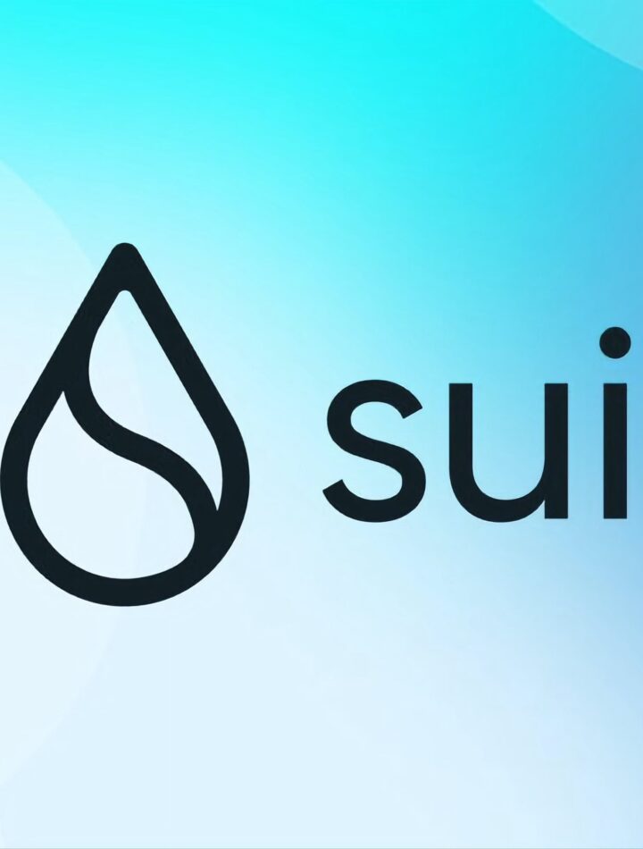 SUI coin
